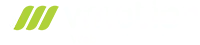 VMotion Group logo